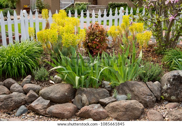 Nice Garden White Picket Fence Plants Stock Photo Edit Now