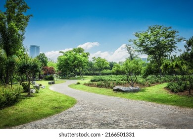 Nice green forest landscape in the city - Shutterstock ID 2166501331