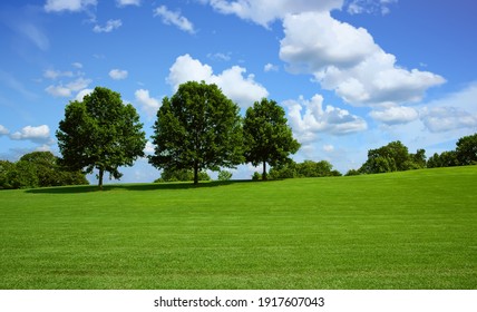 A nice green grassy hill with trees on top against blue sky - Powered by Shutterstock