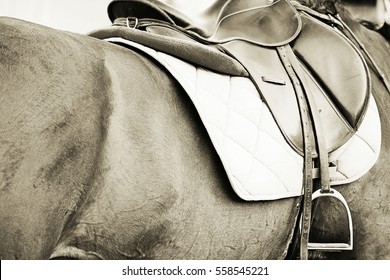 Nice Image Of A Saddle Seat On Horse Back In Sepia Color