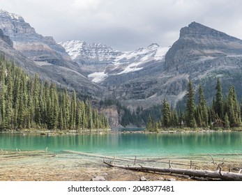 Nice Lake Ohara In Canada