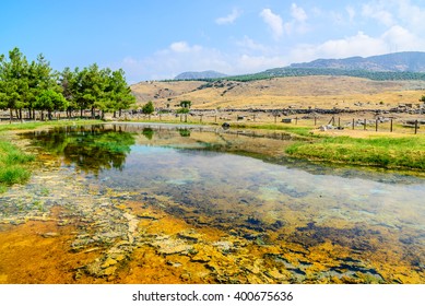 Nice landscape