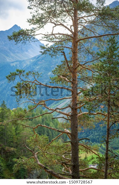 nice landscapes and walks in Burgstein, Oetztal,\
Tirol, Austria