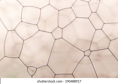 Nice mosaic pattern with a light blurred background