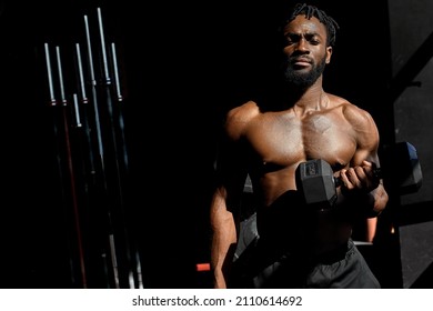 Nice Muscular Man With Beard Train In Dark Gym Unshaven Fitness Model Posing With Dumbbell During Cross Fit Training, Healthcare Lifestyle With Topless Body, Having Strong Abs, Muscles