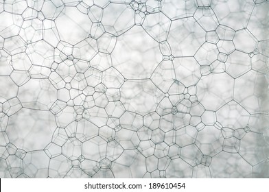 Nice network forms many shapes with a blurred background.