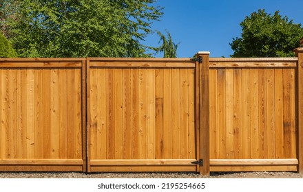 Nice new wooden fence around house. Wooden fence with lawn. Street photo, nobody, selective focus