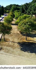 Nice park for walking