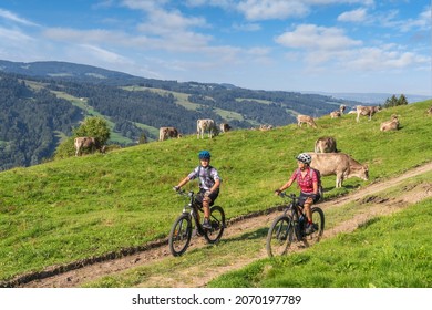 nice and remained young grandmother and her grandson riding their electrc mountain bikes  on a cattle pasture in the Allgaeu Alps near Oberstaufen in Bavaria, Germany
