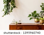 Nice and retro space of home interior with  vintage cupboard with elegant gold accessories, a lot of plants in stylish pots. Cozy home decor. Minimalistic concept. Home garden. Copy space. Template