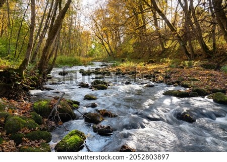 Nice river view through the vally. Autumn colors, mossy stones, colorful leaves, rapid river. Small creak flowing through valley. Beautiful sunny autumn day on Jägala river. Beginning of october Stock photo © 