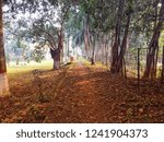 a nice road