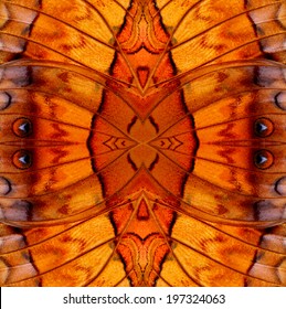 Nice Seamless Background Pattern Made Of Common Commander Butterfly Wing Skin