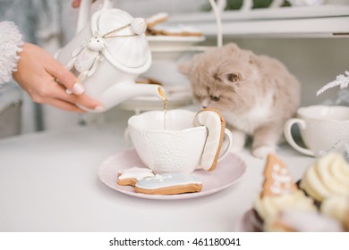 Nice Selkirk Rex Cat Looking Into Cup Of Tea With Candies On The Table