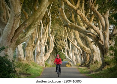 Nice Senior Woman Cycling In The Famous Beech Avenue Of Dark Hedges Near Bushmills In Northern Ireland, UK