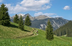 Nice Senior Woman Riding Her Electric Mountain Bike In The Lech Valley Mountains Near Reutte In Tirol, Austria