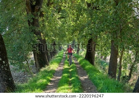 Similar – Radfahrer auf Waldweg