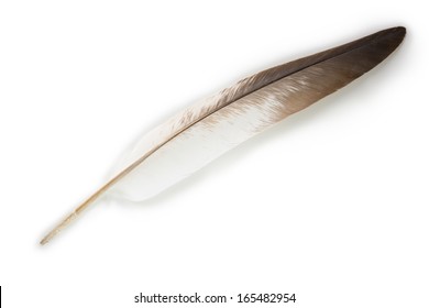 46,981 Contour Feather Images, Stock Photos & Vectors 