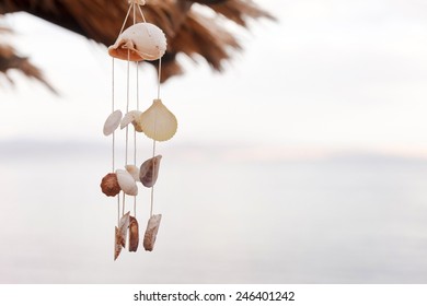 5,670 Shell string Images, Stock Photos & Vectors | Shutterstock