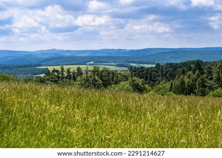 Nice spring fresh rolling landscape near Zlin, Czech republic. Meadow with grown grass, forest and blue hill on horizon.