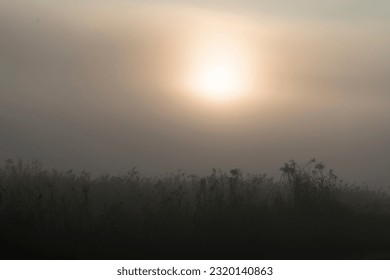 Nice sunrise in the early morning - Shutterstock ID 2320140863
