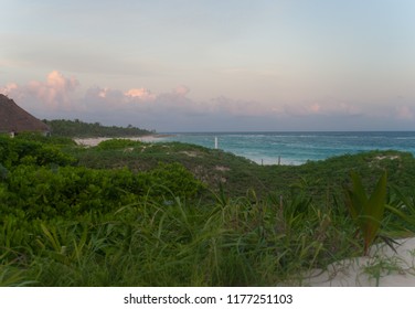 Nice sunset in Xcacel, Mexico at the beach,  with green foliage and turquoise water ocean.