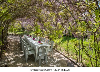 A Nice Table In The Wisteria Trellis Tunnel