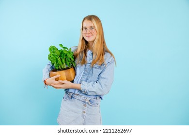 Nice Teenage Girl Hold In Hands Green Houseplant In Wooden Pot On Empty Blue Background, Free Copy Space. Photo Of Charming Young Lady Growing Indoor Plant. Home Flower Grower, Plant Care.