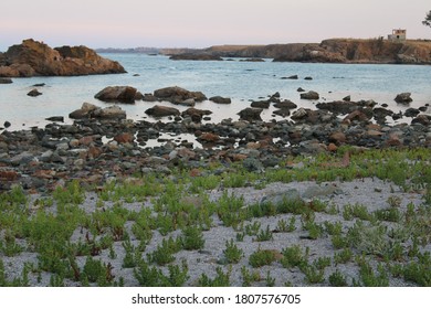 The nice texture between green grass, purple sands, colorful stones, blue seawater and the pink sunset