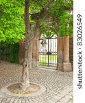 Nice tree in the square