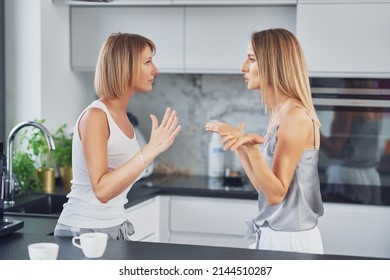 Nice Two Adult Girls In The Housethe Are Arguing