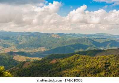 Nice View At Doi Chang Chiangrai Thailand 