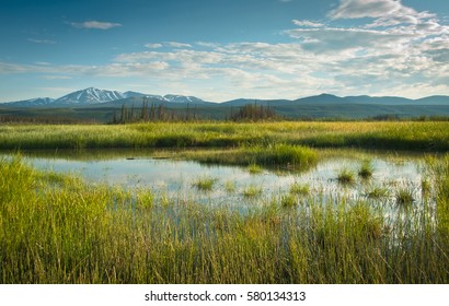 Nice View Over Marsh Lake And Wetlands In The Yukon Territory, Canada