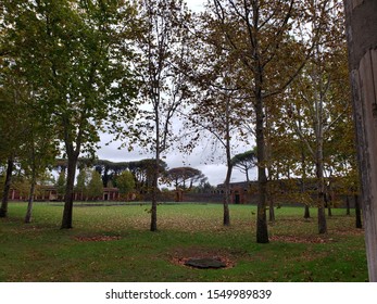 Nice View In The Park Of Pompeia