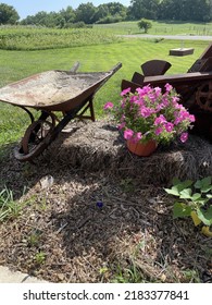 Nice Wheel Barrel With Pink Flowers