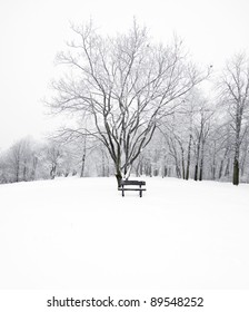 Nice Winter Photo With Bench