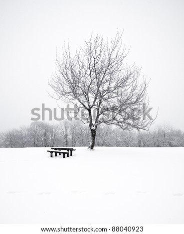 Similar – Ruhepunkt Winter Schnee