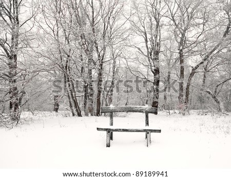 Similar – Image, Stock Photo blow snow Nature Winter