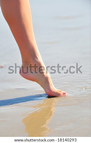 nice woman leg in the water