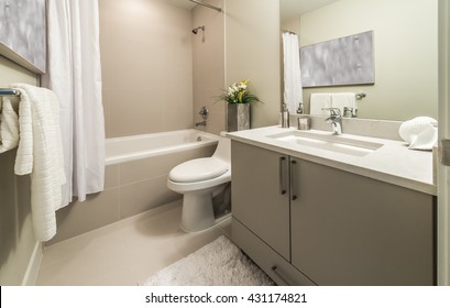 Nicely Decorated Modern Washroom, Bathroom, With The Toilet Sit, Sink, Some Plants On The Counter. Interior Design.