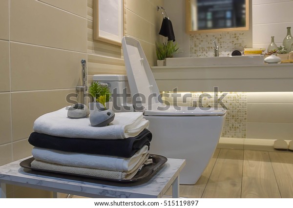 Nicely Decorated Modern Washroom Bathroom Toilet Stock Photo Edit