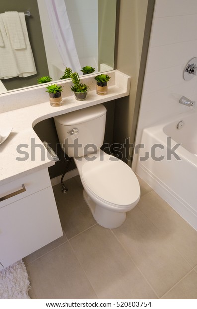 Nicely Decorated Modern Washroom Bathroom Toilet Stock Photo Edit