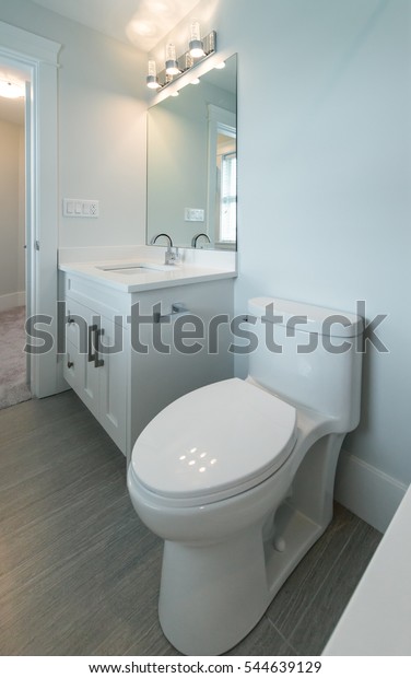 Nicely Decorated Modern Washroom Bathroom Toilet Buildings
