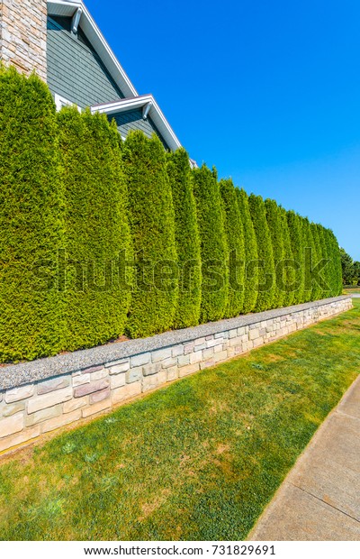 Nicely trimmed bushes and flowers in front of the\
house. Separate and protect private property. Keeps privacy and\
security. Landscape\
design.