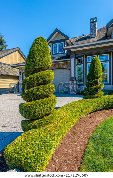 Nicely trimmed bushes in front of the house.\
Landscape design.