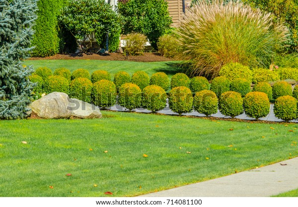 Nicely trimmed bushes  in front of the house.\
Separate and protect private property. Keeps privacy and security.\
Landscape design.
