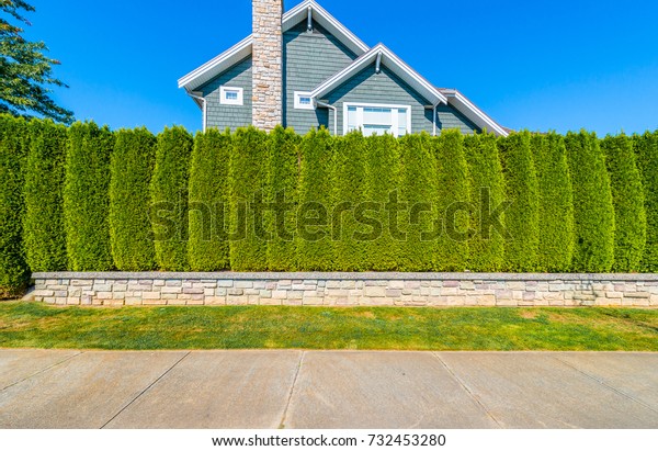 Nicely trimmed bushes  in front of the house.
Landscape design.
