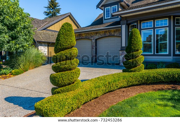 Nicely trimmed bushes in front of the house.\
Landscape design.