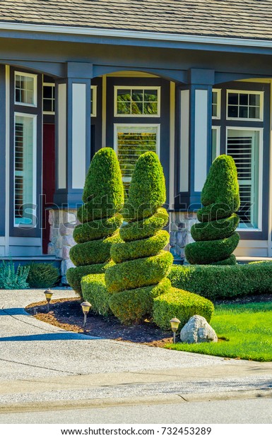 Nicely trimmed bushes  in front of the house.\
Landscape design.