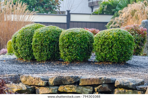 Nicely trimmed bushes and stones in\
front of the house, front yard. Landscape\
design.